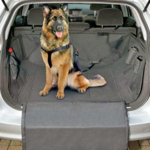 Transportboxen und Taschen für Hunde