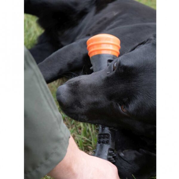 Dog Comets Meteor Wurfstock - Orange / S – Bild 4